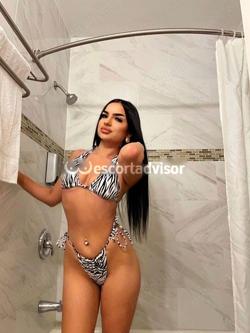 Escort 3509159136