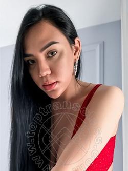 Trans 3717911706