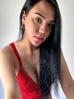 Trans 3717911706