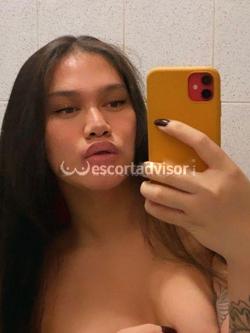 Trans 3808954598