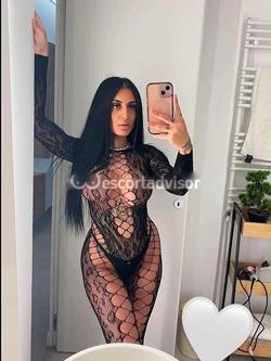 Escort 3477393773