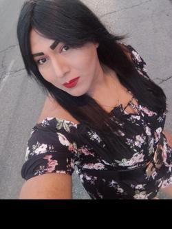 Trans 631871407