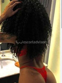 Escort 3932115633