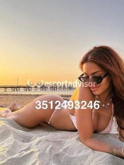 Trans 3512493246