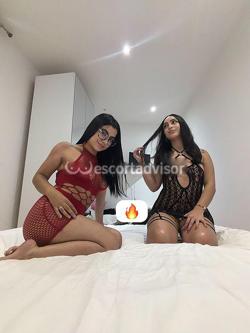 Escort 3931813438