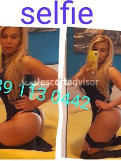 Trans 3891130442