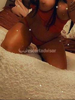 Escort 3473578661