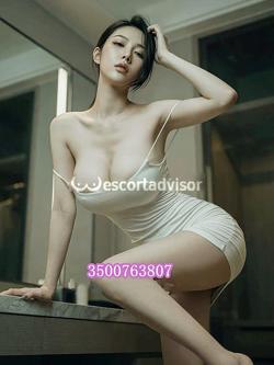 Escort 3500763807