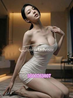 Escort 3500763807