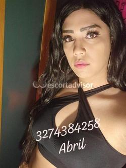 Trans 3274384258