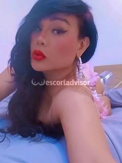 Trans 3882557340