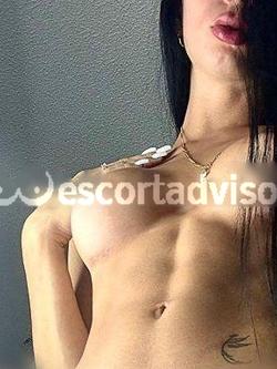 Trans 3508537860