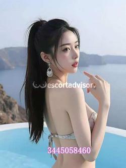 Escort 3445058460
