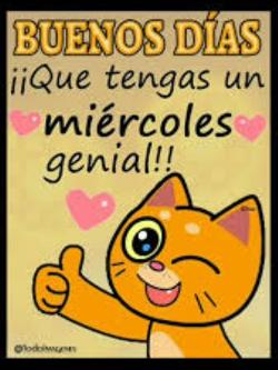 Mujeres 604196380