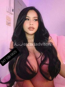 Escort 3471360625