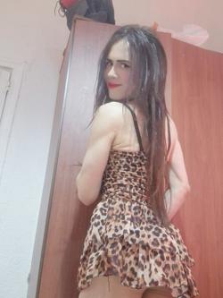 Trans 612486311