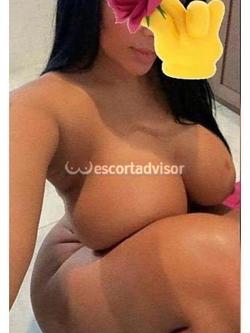 Escort 3313215546