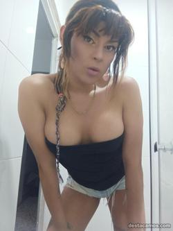 Trans 663713124