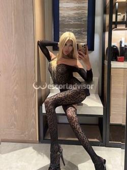 Trans 3921370272