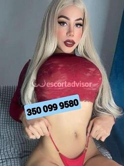 Trans 3500999580