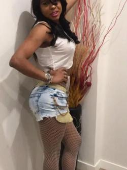 Trans 662132833