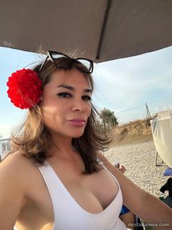 Trans 689237959