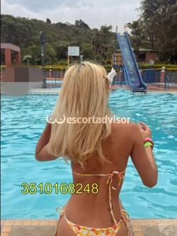 Trans 3510168248