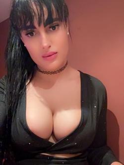 Trans 631718895