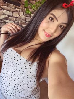 Trans 664533593