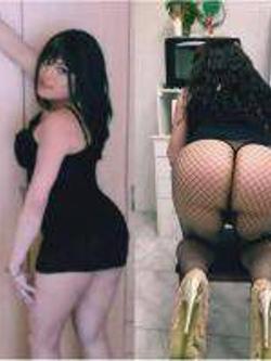 Trans 688422251