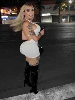 Trans 697208566