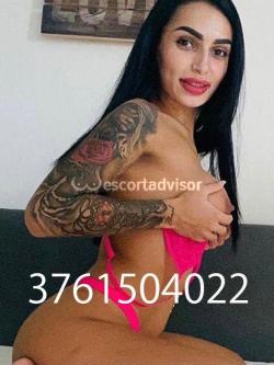 Escort 3761504022
