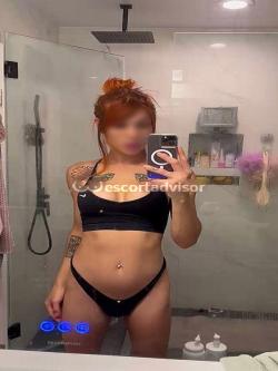 Trans 3333874154