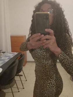 Trans 612290449
