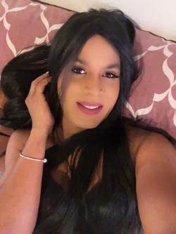 Trans 623249819