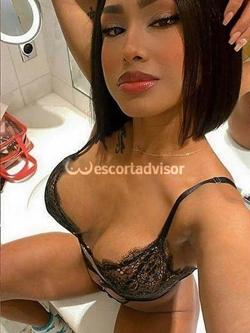 Escort 3930920522