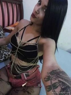 Trans 633263741