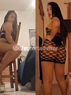 Trans 3508590943