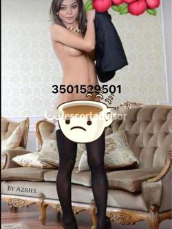 Trans 3501529501