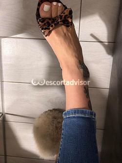 Escort 3445143611
