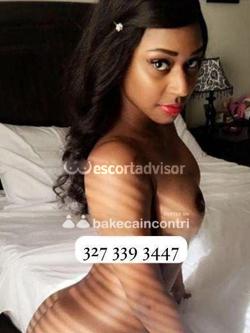 Escort 3273393447