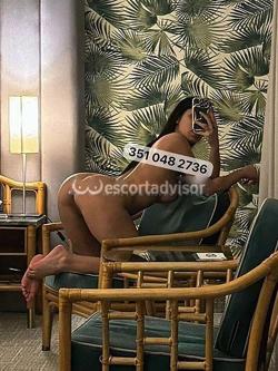 Escort 3510482736