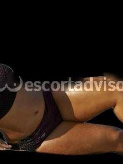 Escort 3923656929