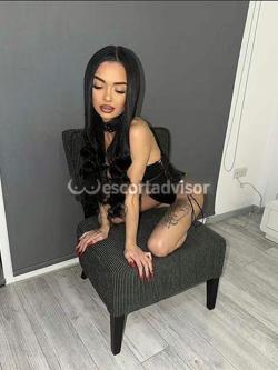Escort 3279009812