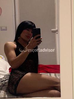 Trans 3926833452