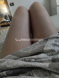 Escort 3514061226