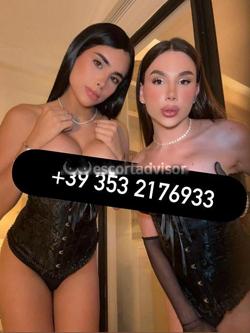 Trans 3532176933