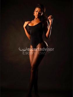 Escort 3931651328