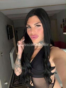 Trans 3281618362