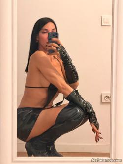 Trans 699461788